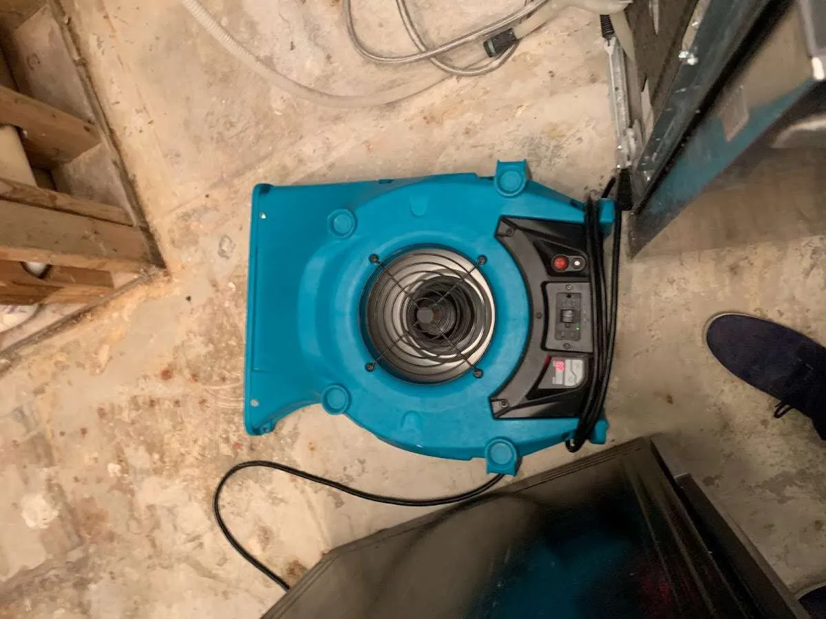 Air mover drying equipment for Mold Remediation & Removal in Auburndale